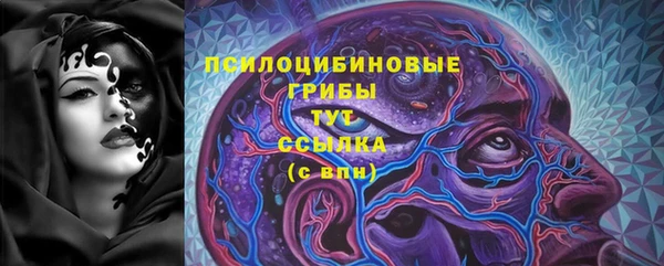 гашик Зеленодольск